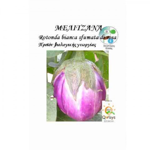 Bio Μελιτζάνα Rotonda Bianca Sfumata Di Rosa